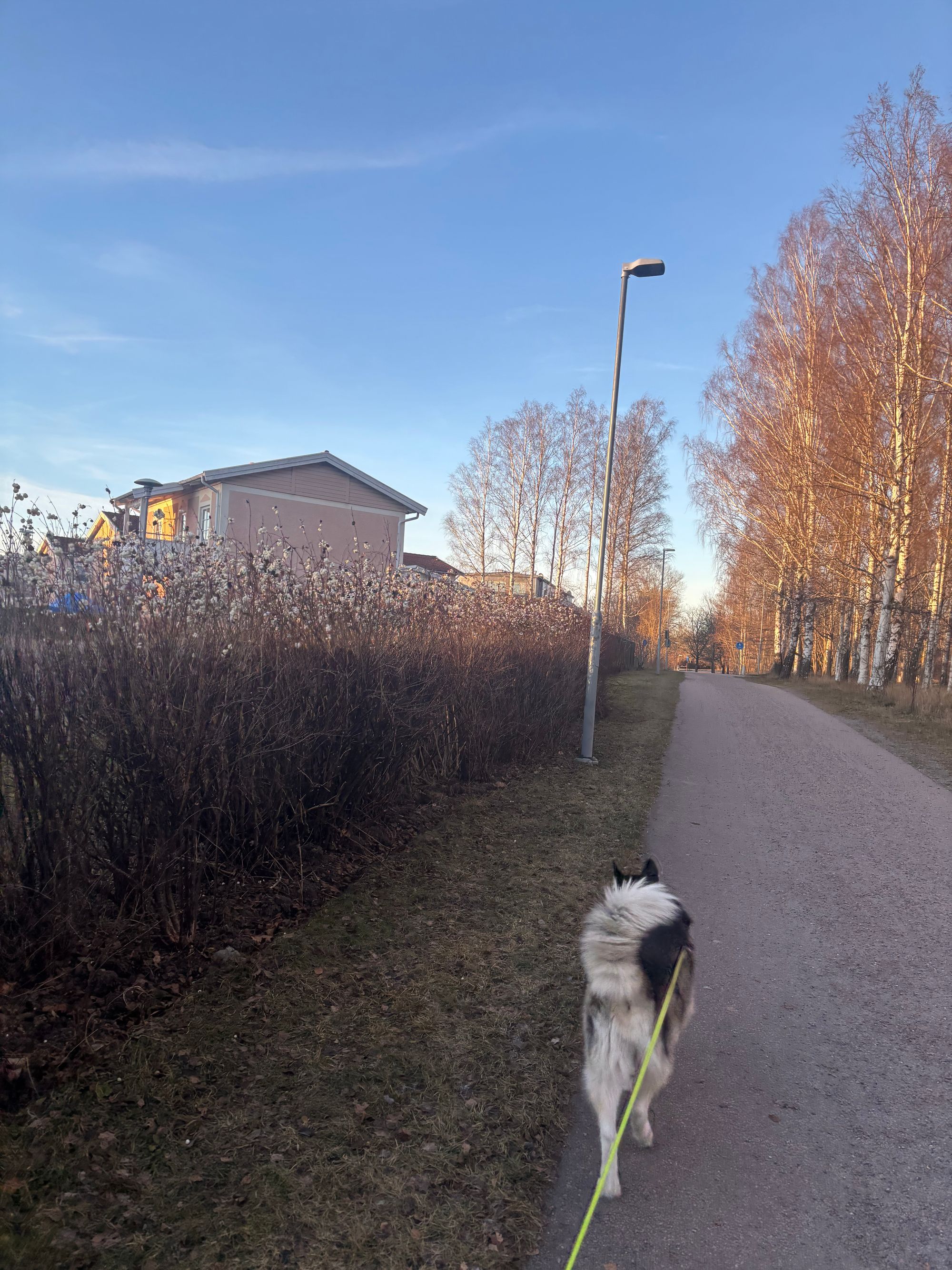 Home in Sweden for the Holidays: A Week Before Christmas - Week 17